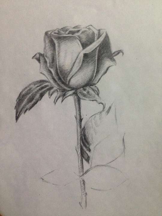 Artwork 23
